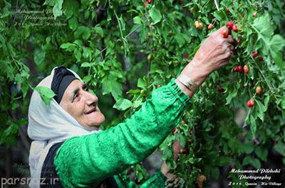  تصاویر زیبا و دیدنی از سراسر کشور ایران در شهریور ماه