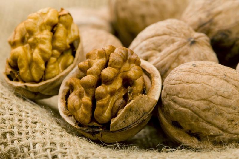 پیشگیری از ابتلا به دیابت با خوردن گردو