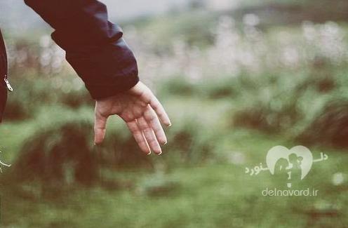 جای خالی بعضی ها تا ابد خالیست جای خالی بعضی ها تا ابد خالیست