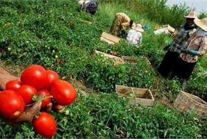 	پرداخت بیش از 14 میلیارد تسهیلات اشتغال به مددجویان سنقری 