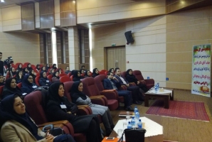  دومین کارگاه آموزشی بازی درمانی در کرمانشاه برگزار شد 