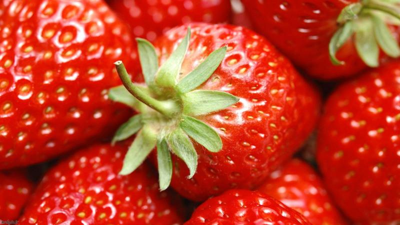  درباره واکس میوه چه می دانید؟