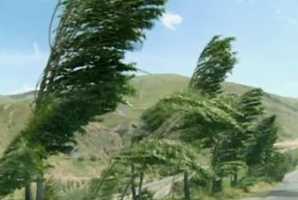  مدارس ابتدایی گیلانغرب به دلیل وزش تندباد تعطیل شد 