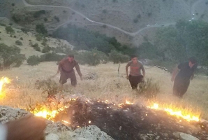 	اینبارآتش سوزی جنگل‌های شاهو در فصل زمستان/آتش هنوز مهار نشده است 