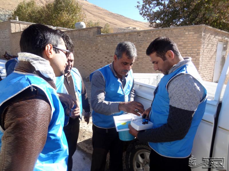 28500 قطعه طیور شهرستان صحنه در برابر بیماری نیوکاسل واکسینه شد