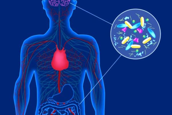 حل معمای ابتلا به پارکینسون در روده