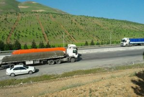 	طرح جنگلانه در گردنه بیدسرخ اجرا می شود 