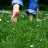  پیاده‌روی با پای برهنه بر روی چمن را از دست ندهید