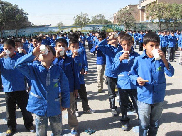 شیر رایگان در مدارس شهرستان صحنه توزیع خواهد شد 