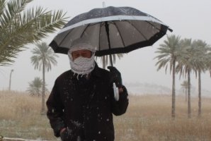 قصرشیرین بعد از 9 سال لباس سفید بر تن کرد/ دانه های زیبای برف بر روی درختان نخل + تصاویر 