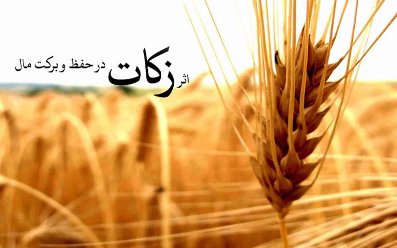 آخرین جلسه ستاد احیاء زکات سال 95 در صحنه برگزار شد