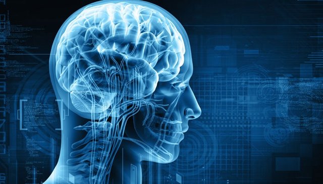 تماشای فیلم‌های ترسناک برای مغز مفید است