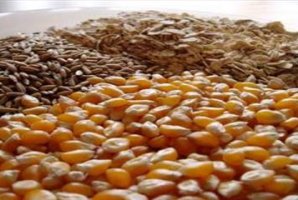 	کشف و ضبط 6 تن خوراک طیور غیرمجاز در سرپل ذهاب 