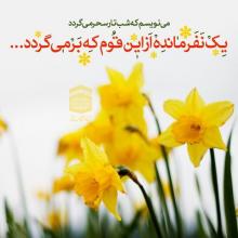 	قسط.... 