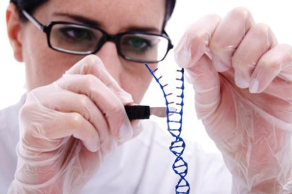 امکان حذف بیماری از روی DNA 