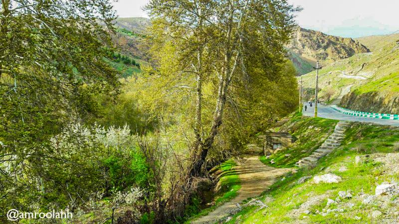 عکس هایی ناب بهاری از طبیعت شهرستان صحنه