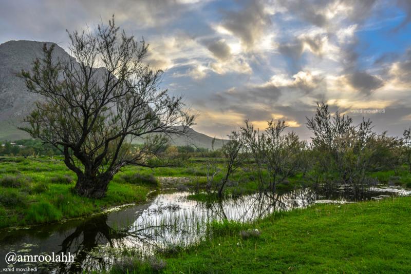 همه چیز در مورد روستای عامله شهرستان صحنه + عکس