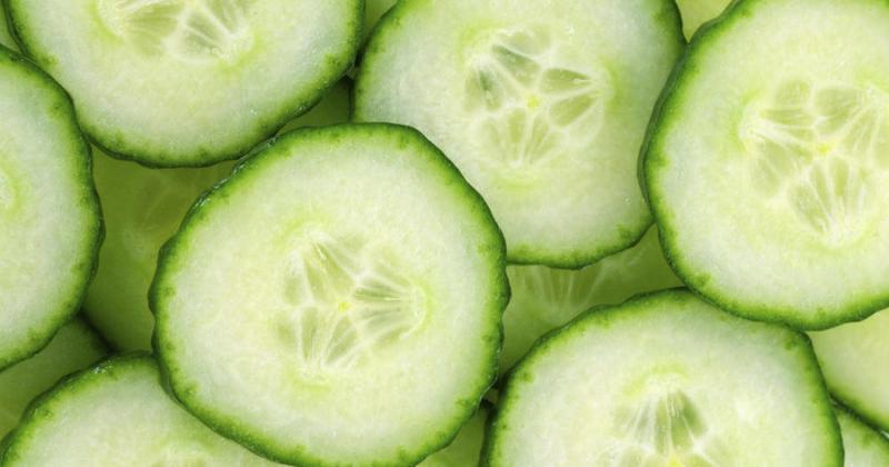 فواید خیار برای سلامت/ رفع تشنگی تا تنظیم فشارخون
