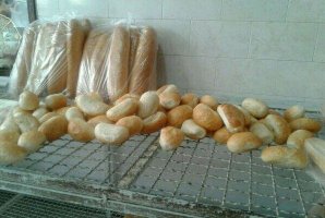  حمایت‌های موثر بسیج سازندگی در ایجاد اشتغال برای جوانان جویای کار 