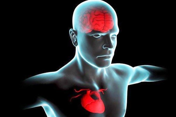 ارتباط قلب سالم در جوانی و سلامت مغز در میانسالی ارتباط قلب سالم در جوانی و سلامت مغز در میانسالی