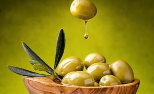 صنایع تبدیلی نقش مهمی در توسعه و پیشرفت روستا دارد/ برگزاری دوره آموزشی پرورش زیتون در بخش مرکزی سرپل ذهاب 