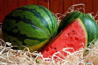 آیا خوردن هندوانه افراد را چاق می کند؟