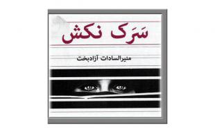مجموعه داستان «سرک نکش» در بوته نقد منتقدین کرمانشاهی 