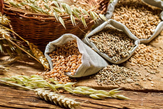  فیبر، مرگ ناشی از سرطان روده را به تاخیر می‌اندازد