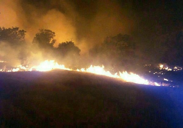 آتش سوزی در بخشی از جنگل‌های ارسباران