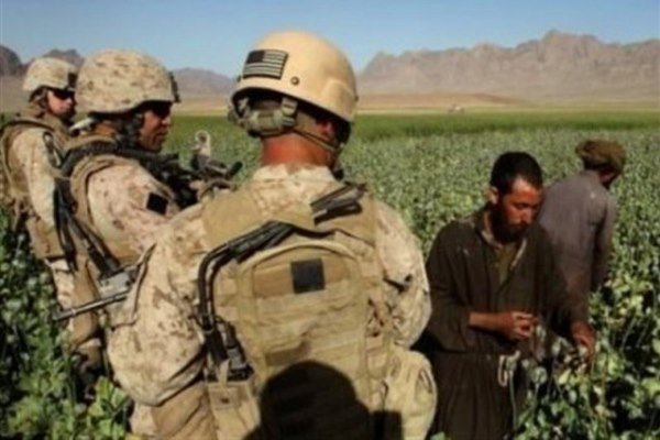 بدون نابودی مواد مخدر پیروزی در برابر طالبان امکانپذیر نیست