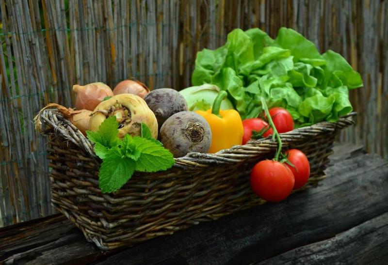 غذا درمانی: تغذیه خوب، مساوی است با احساس بهتر