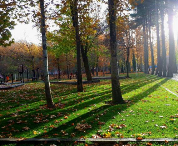 دمای شهر صحنه کاهش می یابد