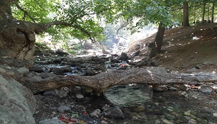 آشنایی با "سراب گروس"