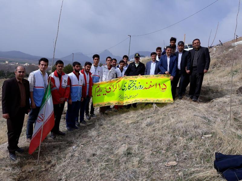  نهال صلح و دوستی توسط جمعیت هلال احمر شهرستان صحنه کاشته شد