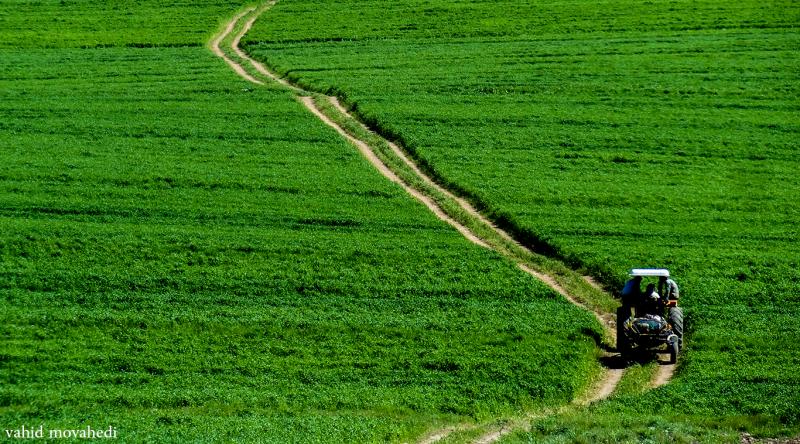 	روستای چمه یادگاری از شهر تاریخی دینور 