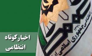 ۸۳ کیلوگرم مواد مخدر کشف شد/ کشف دام قاچاق به ارزش ۱ میلیارد ریال/ دستگیری زورگیر سابقه دار 