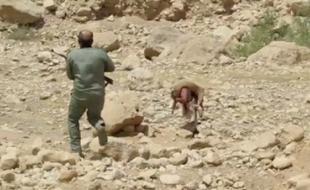 درگیری محیط‌بانان با شکارچیان غیرمجاز / مصدومیت ۳ نفر 