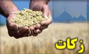 کشاورزان کرمانشاهی ۷ میلیارد تومان زکات پرداخت کردند 