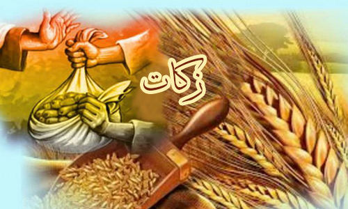  زکات، کلید دریافت رحمت الهی است