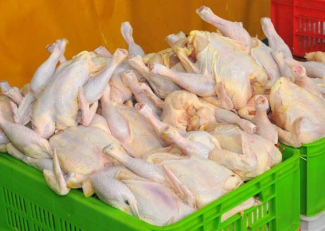 کشتارگاه چهار هزار قطعه ای شهرستان صحنه  در دست احداث است