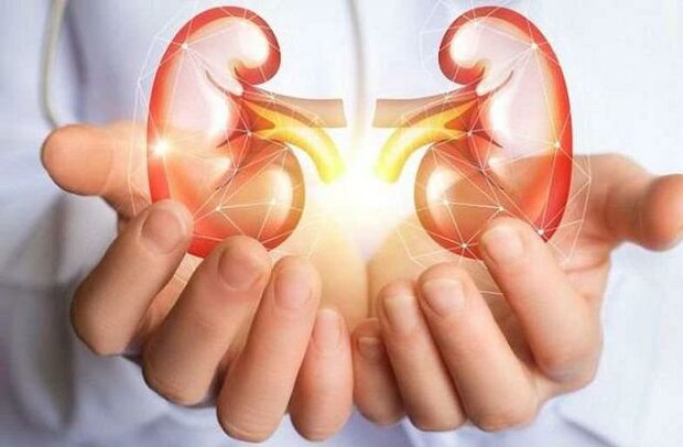 سنگ کلیه در دوره یائسگی موجب پوکی استخوان نمی‌شود 