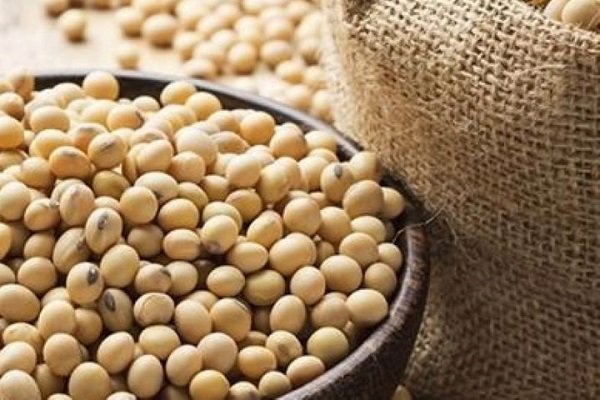 مواد خوراکی ممنوعه برای افراد مبتلا به میزان بالای استروژن 