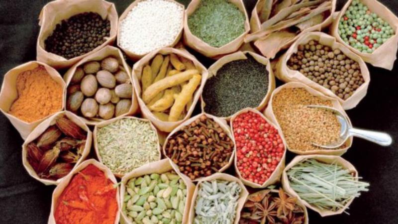 شهرستان صحنه برای کشت گیاهان دارویی مستعد است