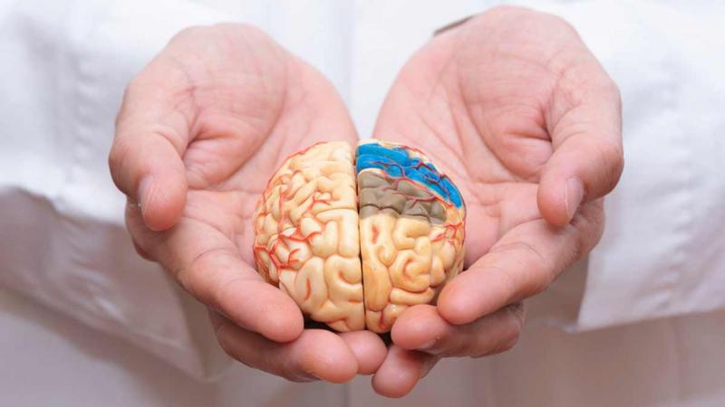  واکسن زوال عقل روی انسان آزمایش می‌شود