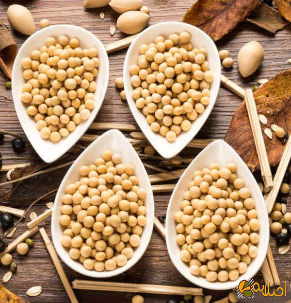 مصرف محصولات سویا موجب افزایش طول عمر می شود