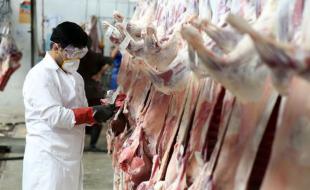 افزایش نظارت بر مراکز عرضه فرآورده‌های خام دامی در کرمانشاه 