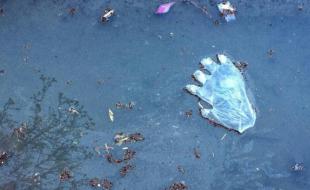 غفلت از مدیریت پسماندهای بهداشتی سد راه کنترل کرونا 