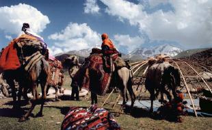 کوچ بهاره عشایر باید با تاخیر باشد 