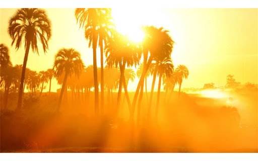  آیا انتشار ویروس کرونا با گرم شدن هوا متوقف می‌شود؟