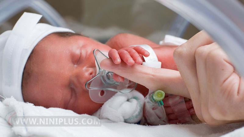 رژیم غذایی گیاهی ریسک زایمان زودرس را کاهش می دهد